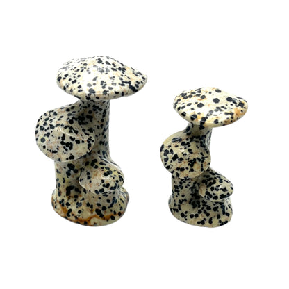 Crystal Mushroom Trees