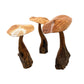 Mushroom Parasite Wood Carvings