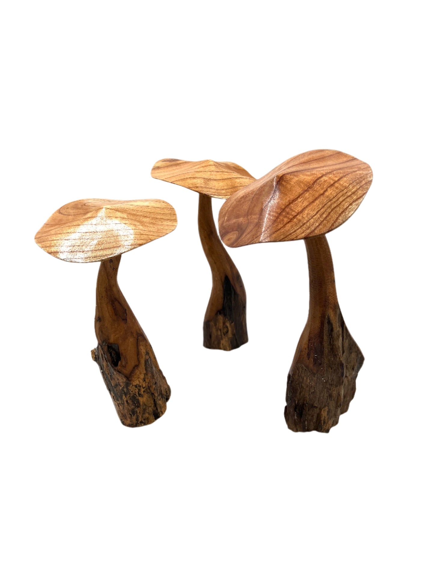 Mushroom Parasite Wood Carvings