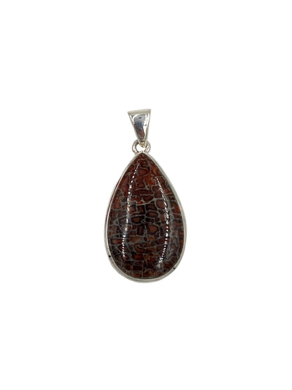 Fossilized Dinosaur Bone Teardrop Pendants