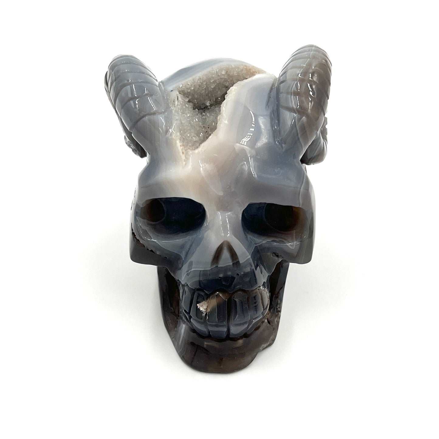 Druzy Agate Skull with Horns