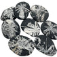 Black stones with white floral patterns on a white background