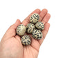 Dalmatian Jasper Tumble Nuggets