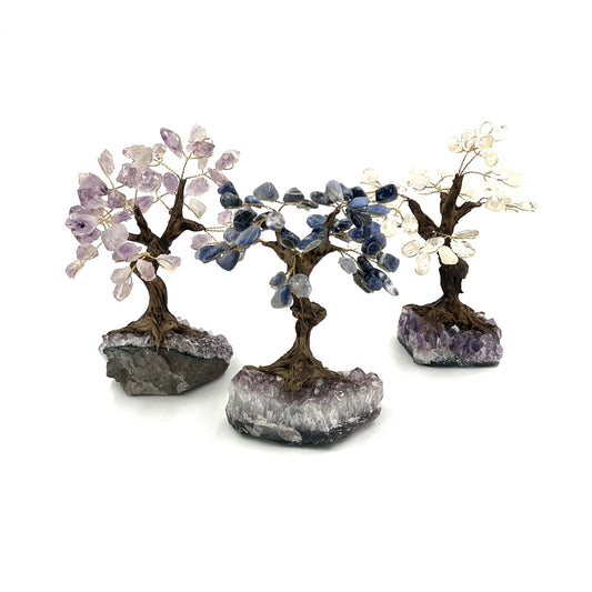 Crystal Trees with Amethyst Base