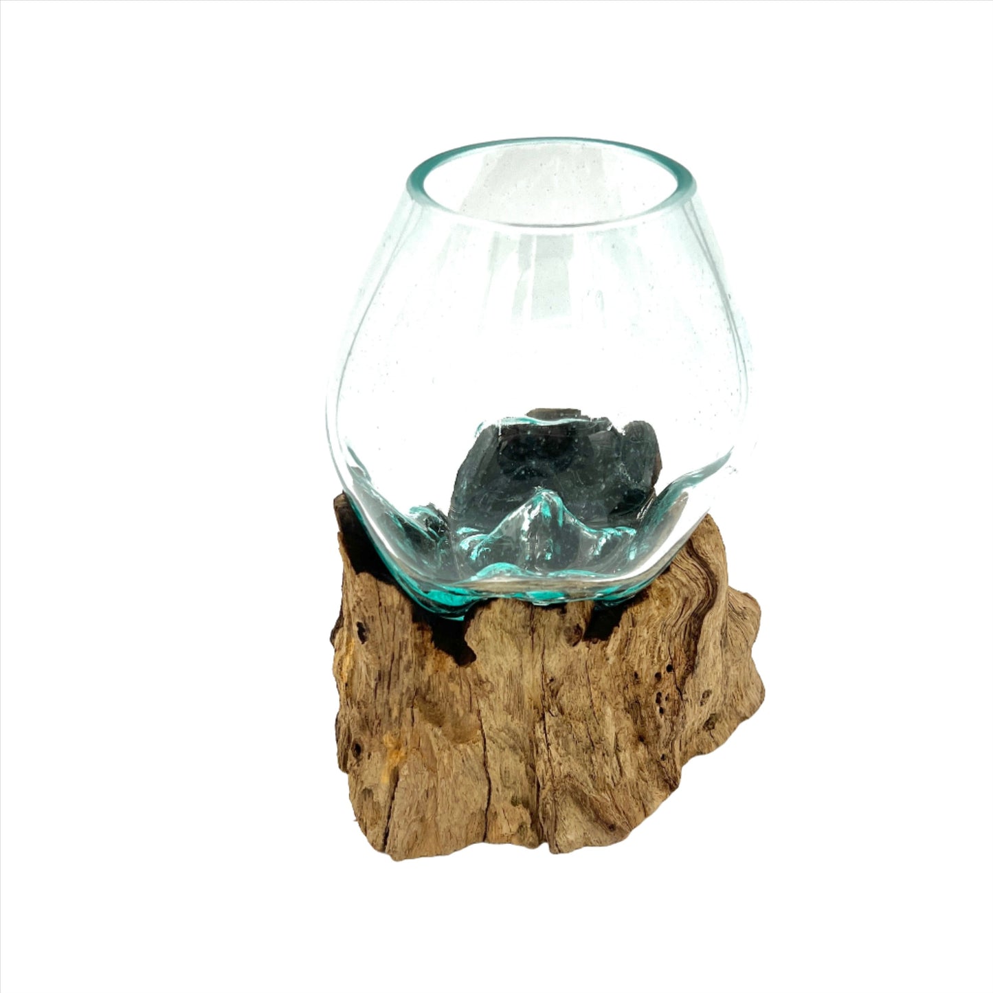 Glass and Driftwood Terrarium
