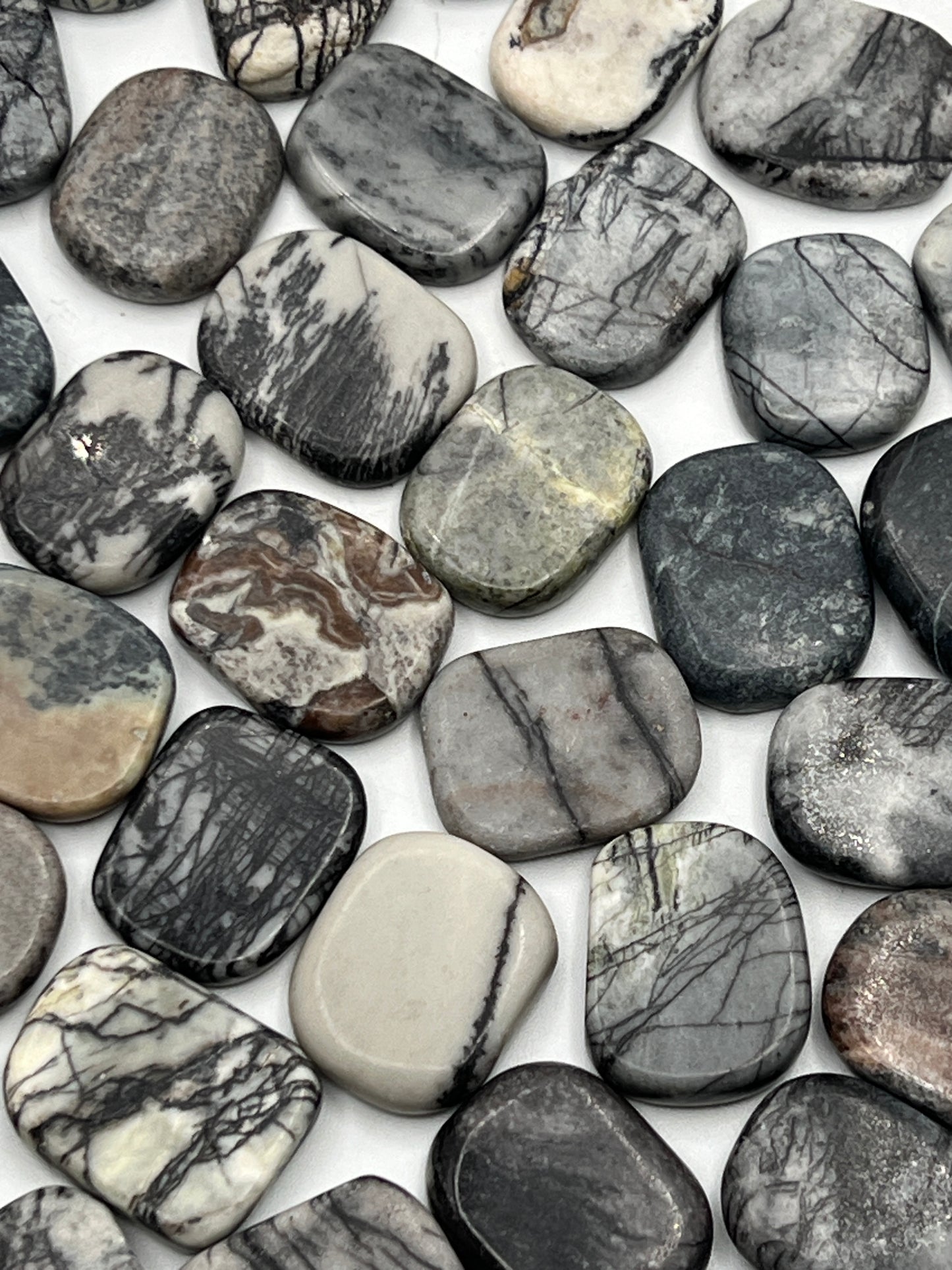 Spider Web Jasper Coins