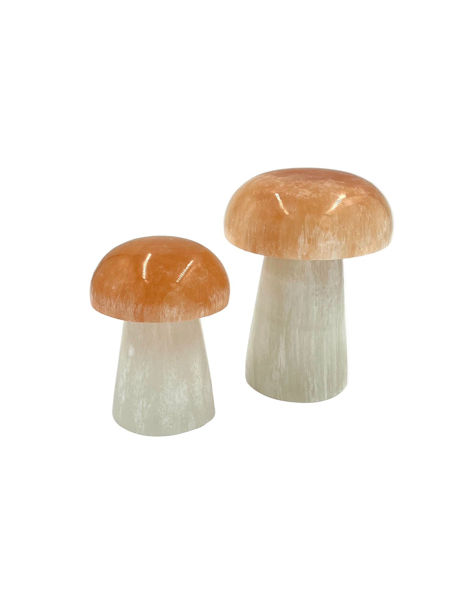 Selenite Mushroom Lamps