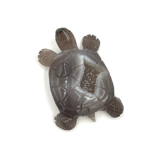 Agate Druzy Turtle