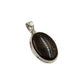 Fossilized Dinosaur Bone Oval Pendants