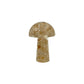 Orgonite Crystal Mushroom