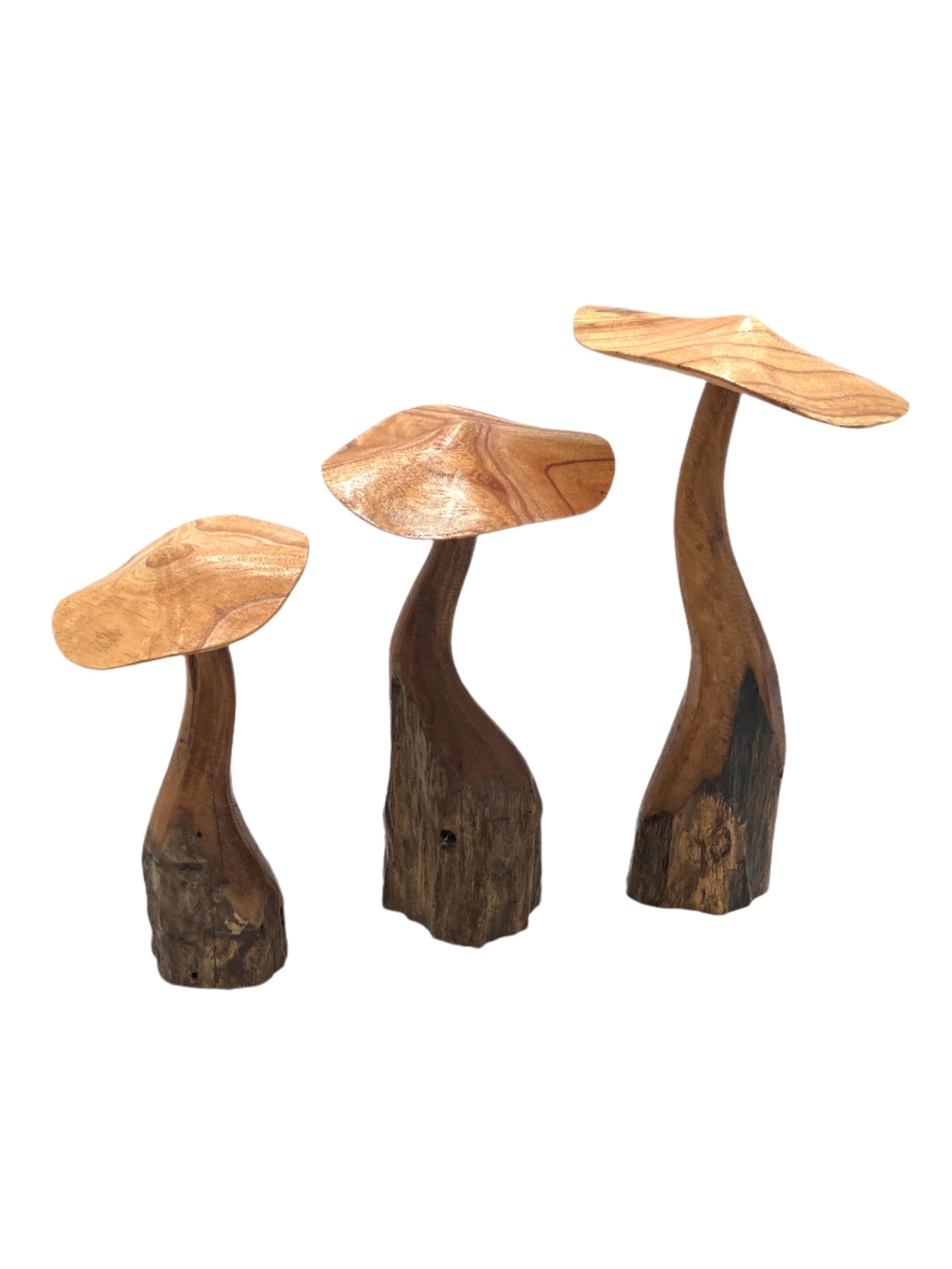 Mushroom Parasite Wood Carvings