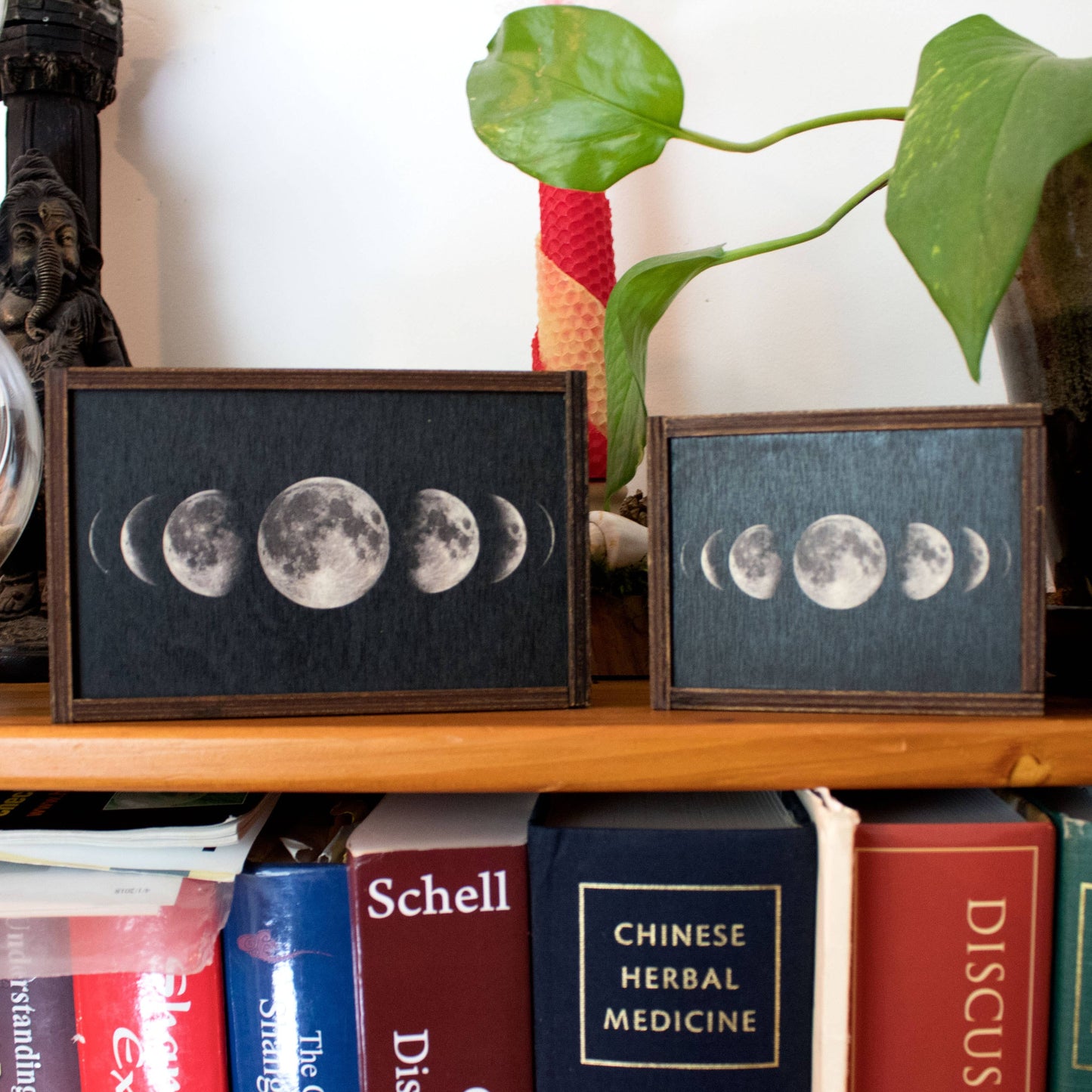 Moon Phases Full Color Tarot Card/Stash Box