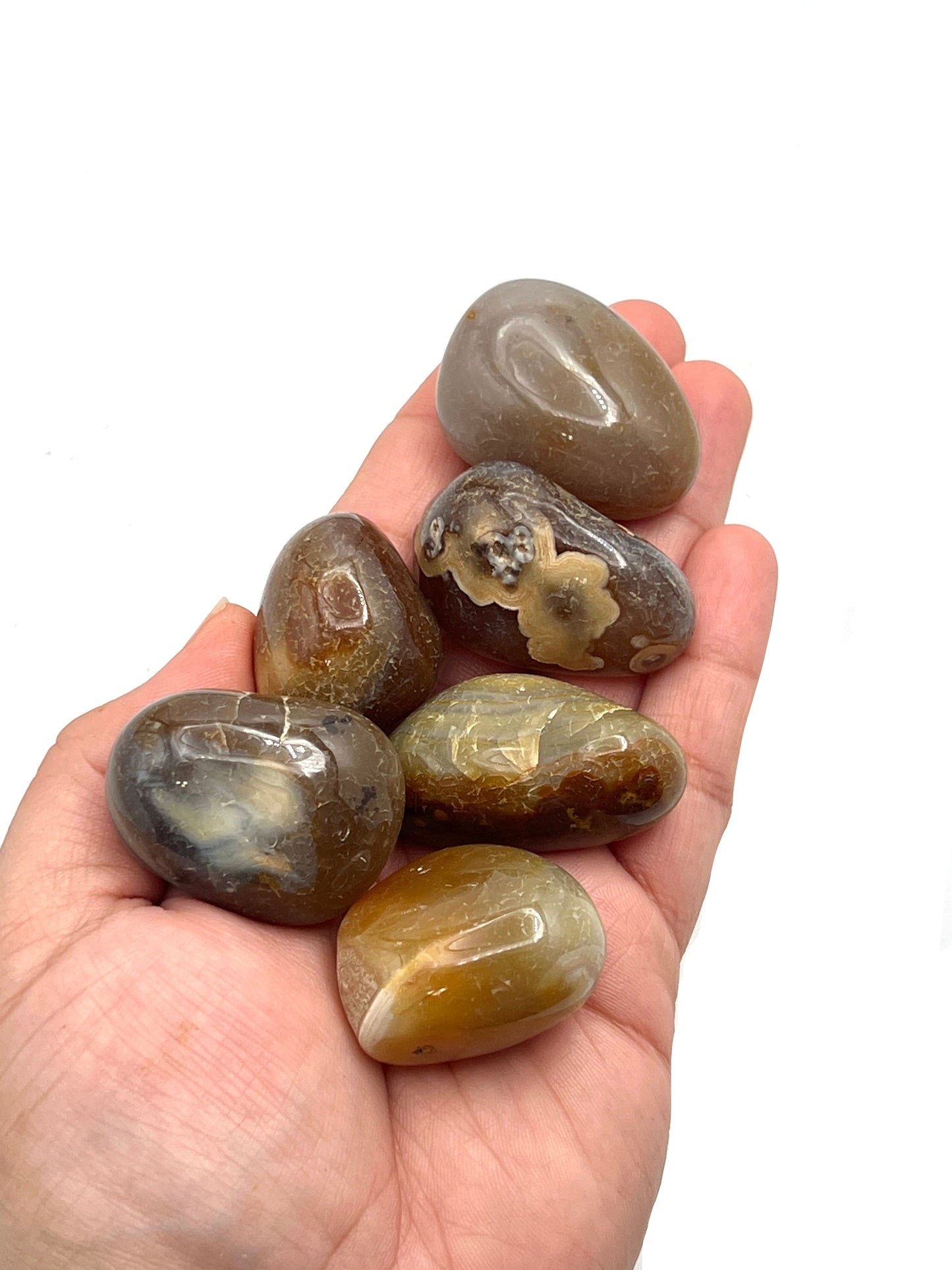 Botswana Agate Tumbles
