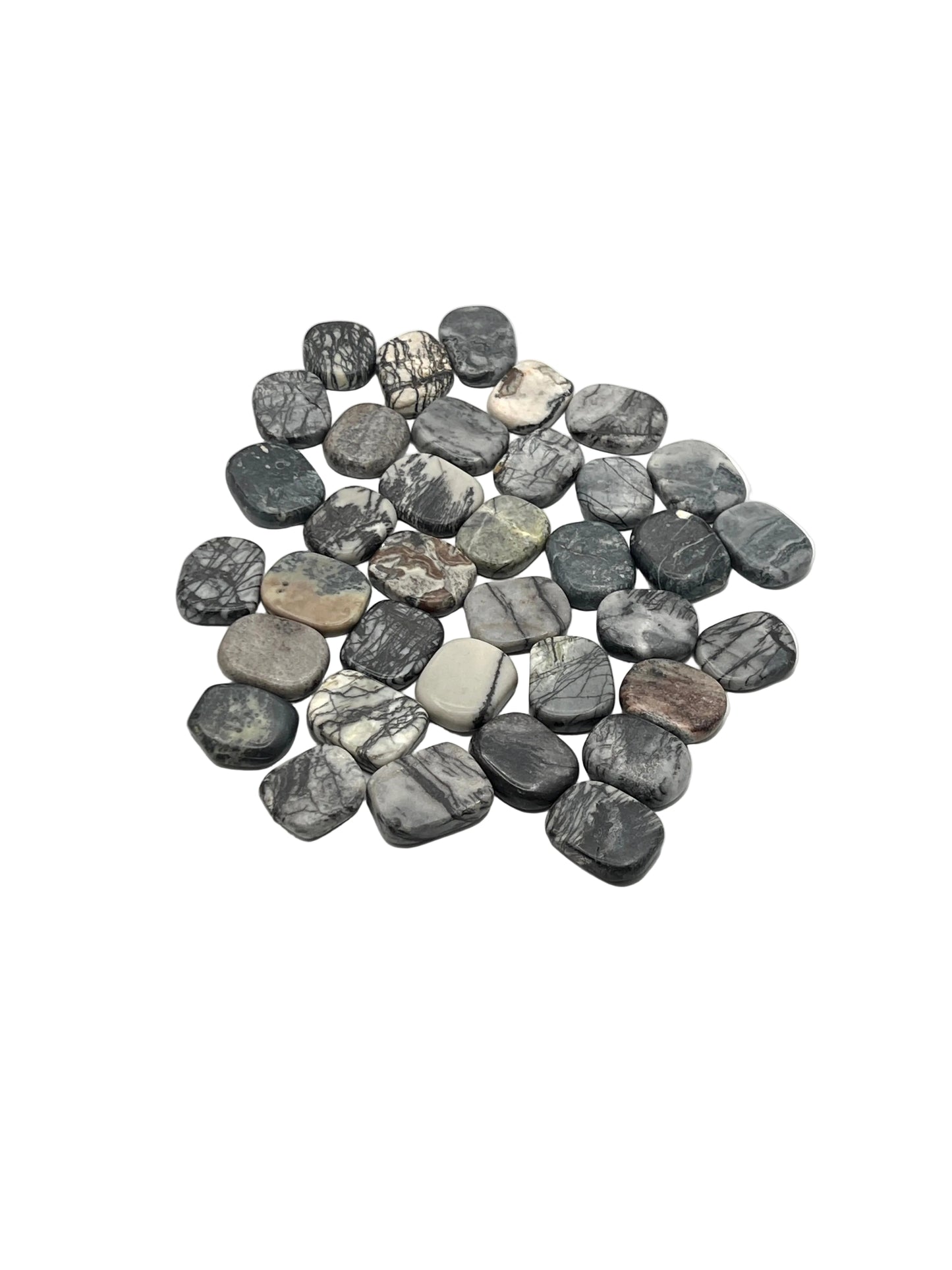 Spider Web Jasper Coins