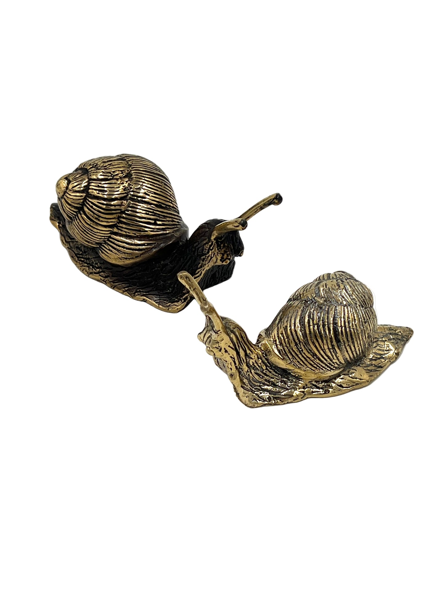 Bronze Snail