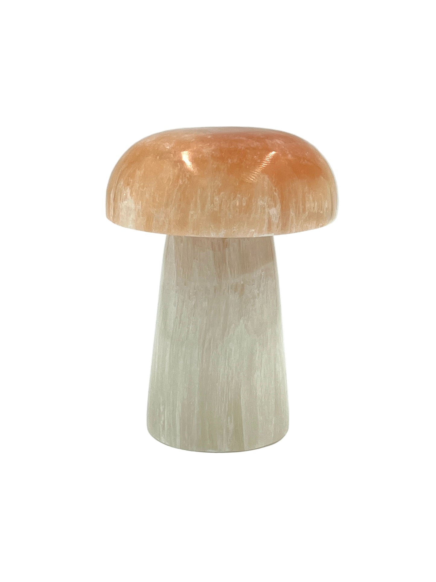 Selenite Mushroom Lamps