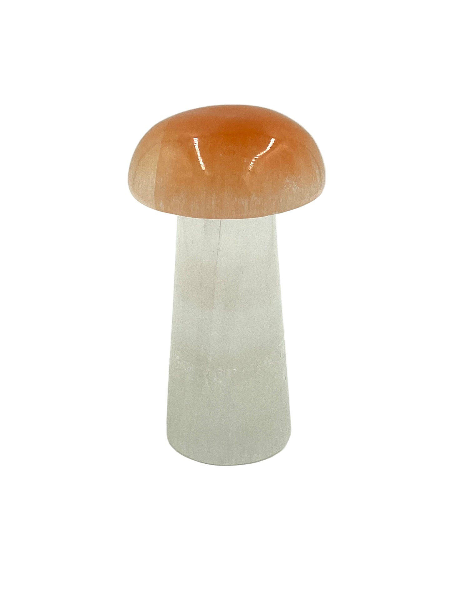 Selenite Mushroom Lamp