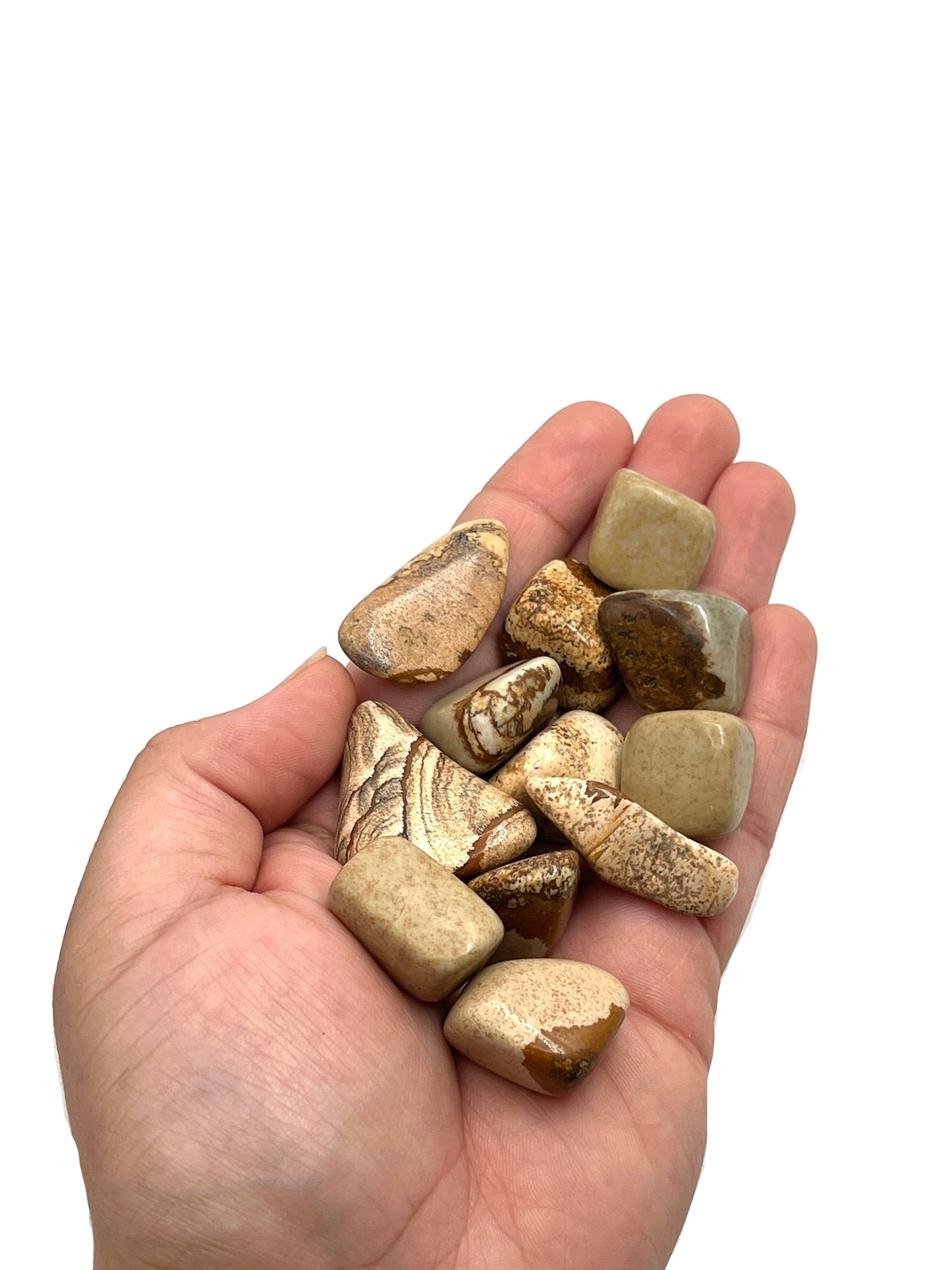 Picture Jasper Tumbles