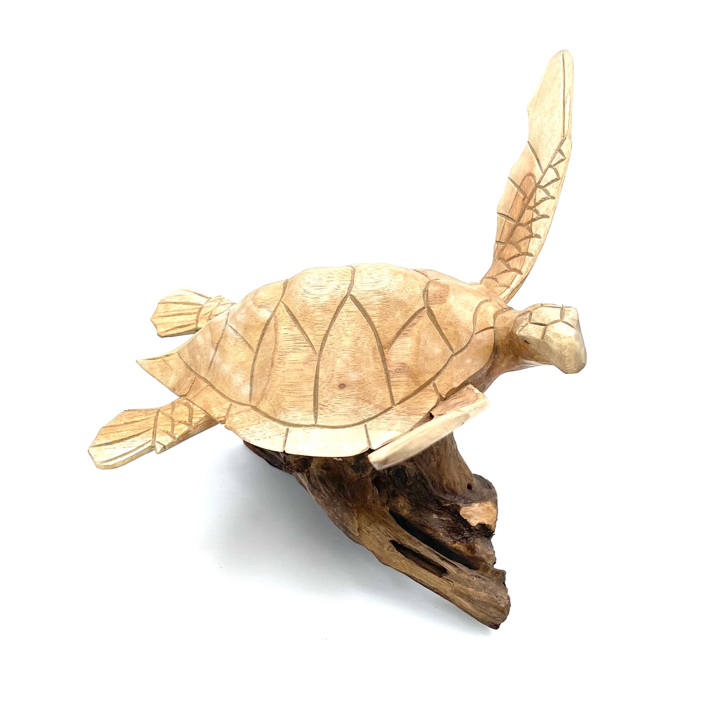 Large Parasite Wood Turtle Carvings