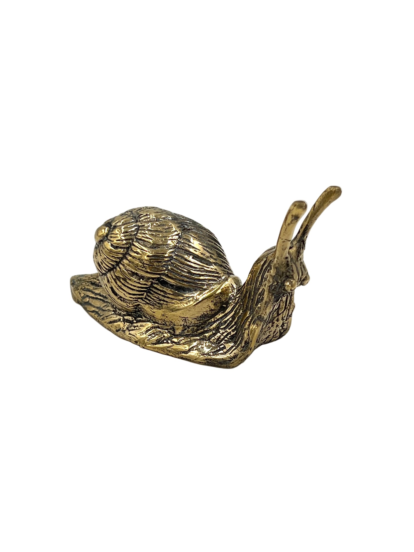 Bronze Snail