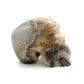 Druzy Agate Skull