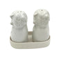 Ceramic Animal Salt & Pepper Shaker Set