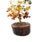 Crystal Charka Tree of Life