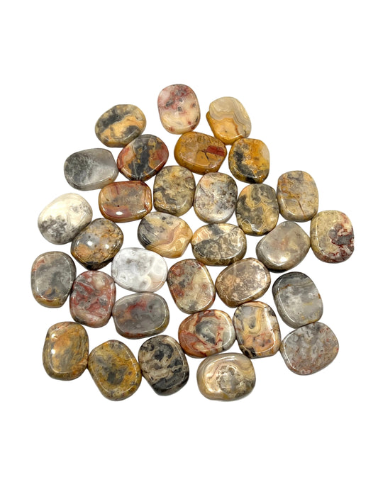 Yellow Crazy Lace Agate Coins