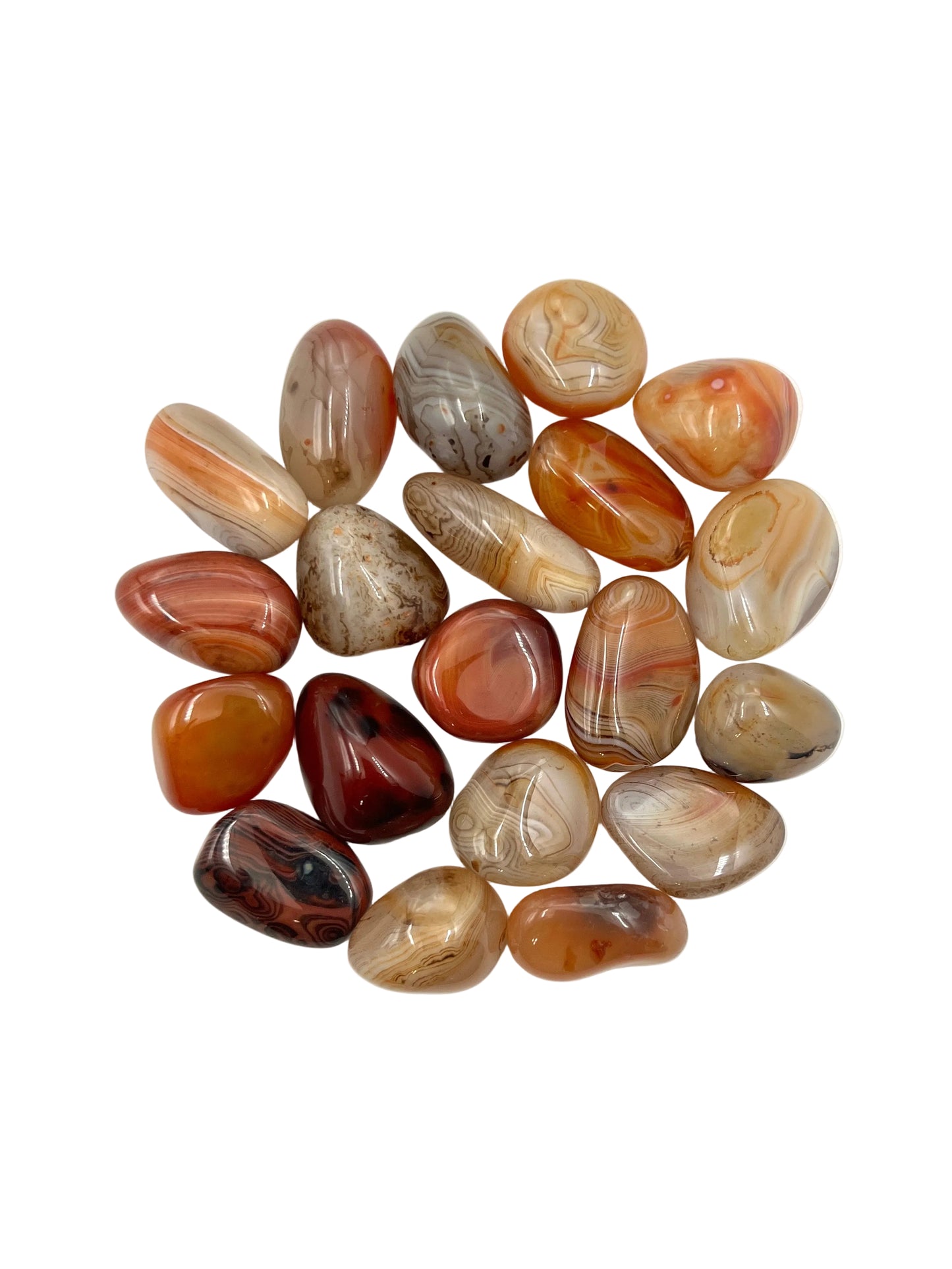 Sardonyx Freeforms