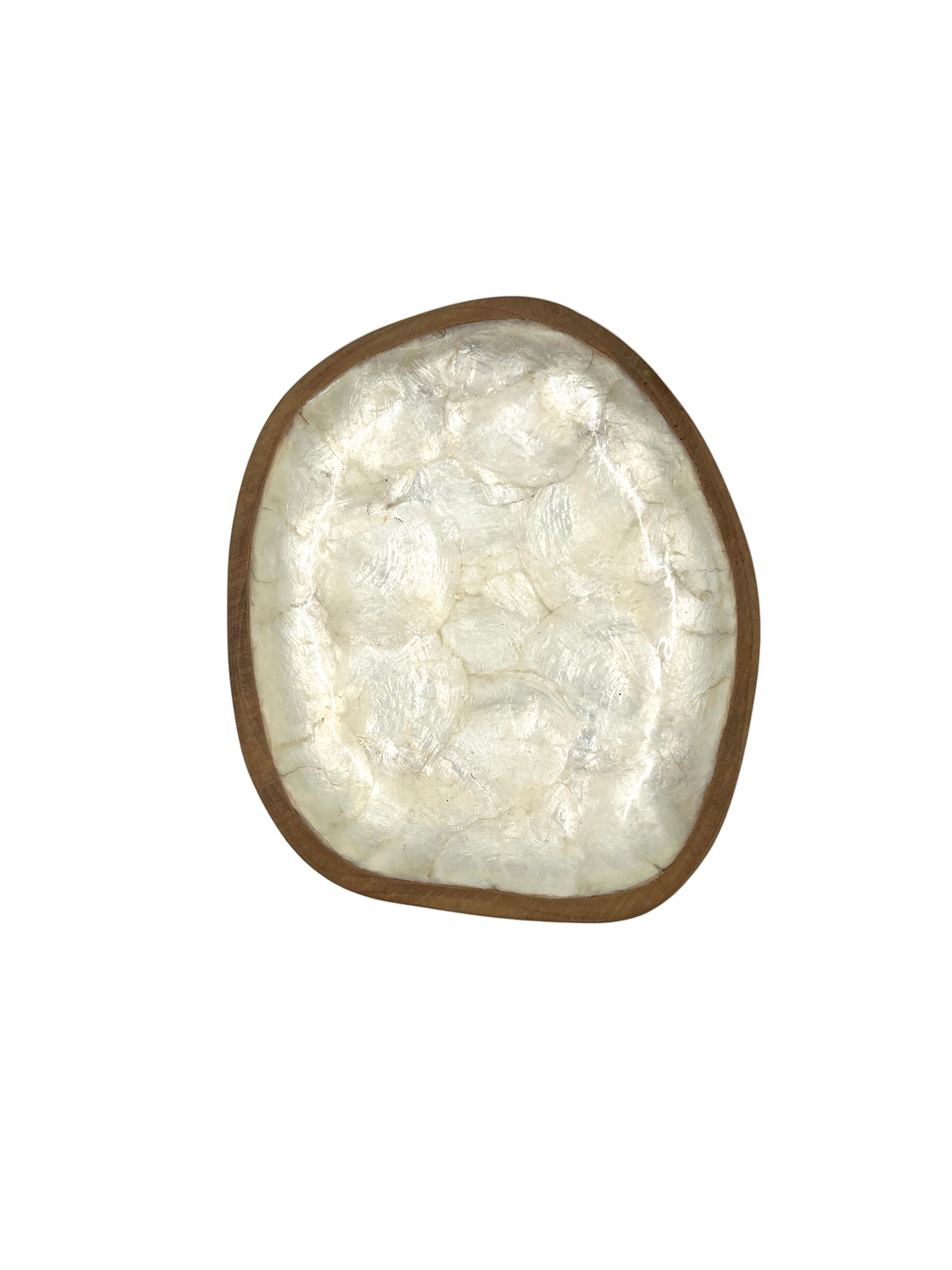 Freeform Sea Shell Wood Plate – Midnight Sun