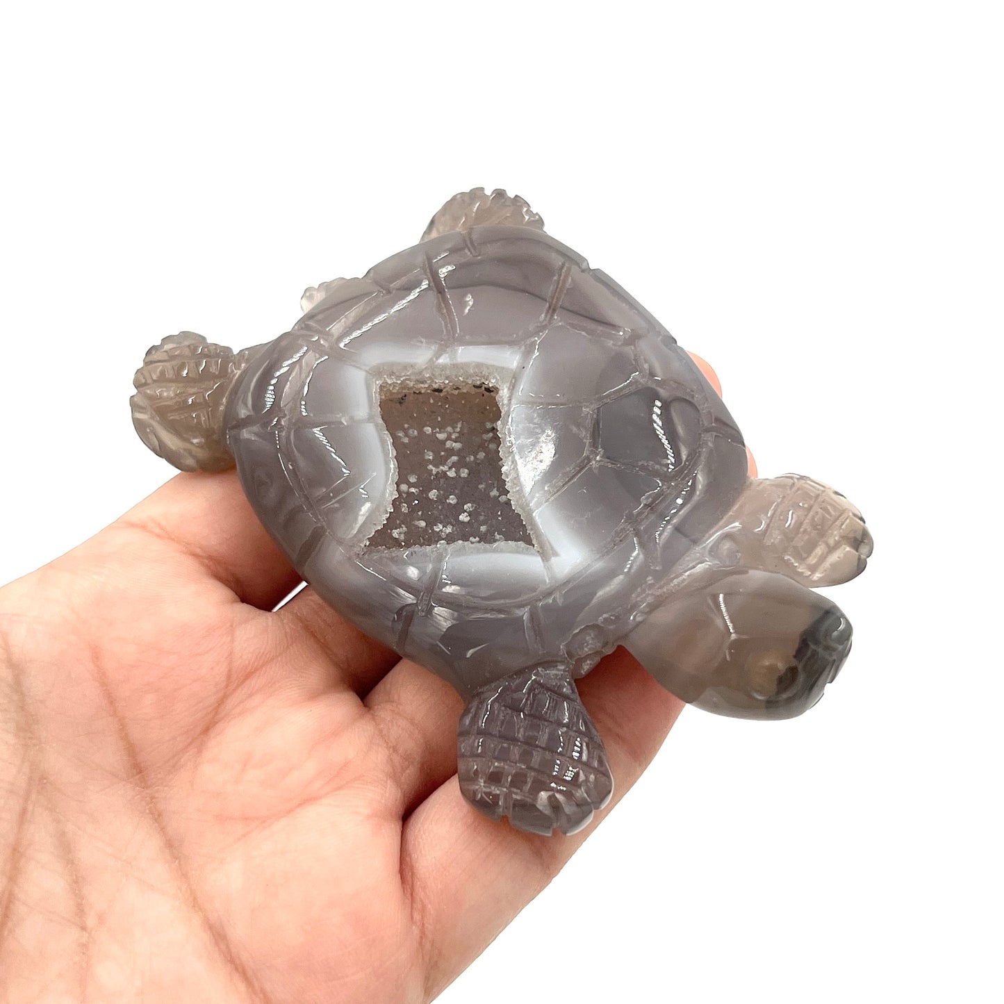 Druzy Agate Turtle