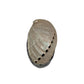 Abalone Shell Jewelry Boxes