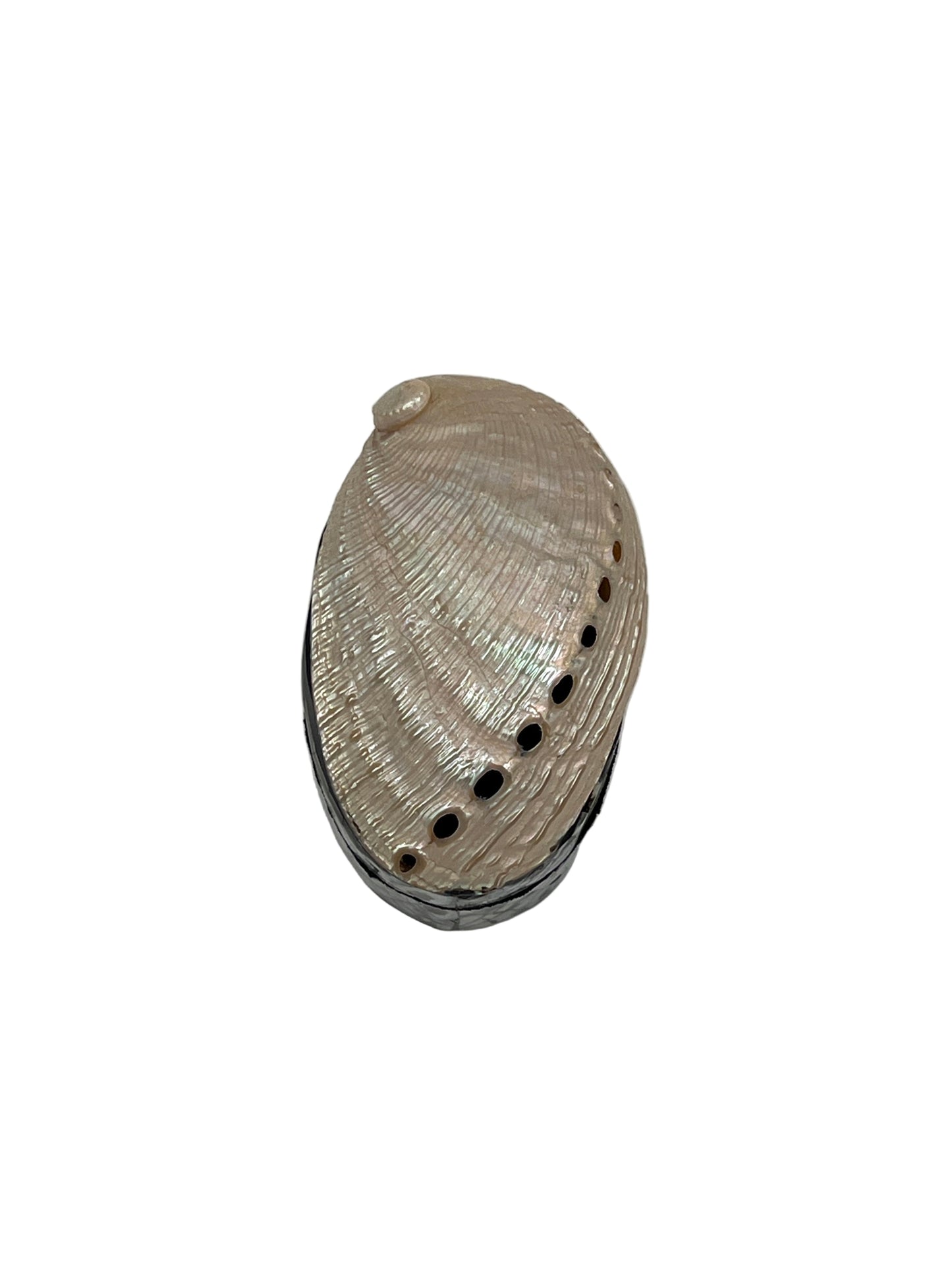 Abalone Shell Jewelry Boxes