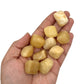 Hand holding a collection of beige stones against a white background