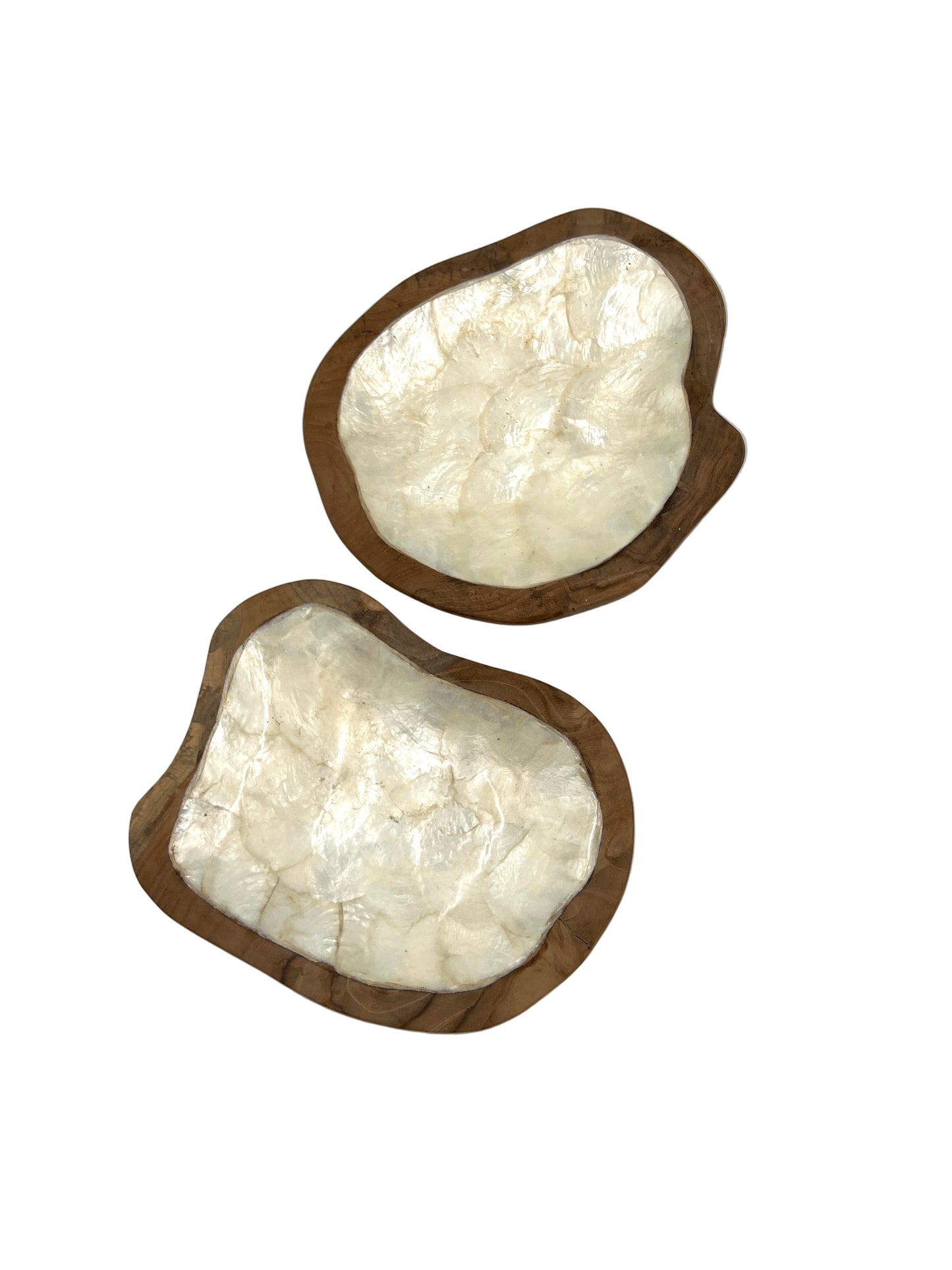 Freeform Sea Shell Wood Plate