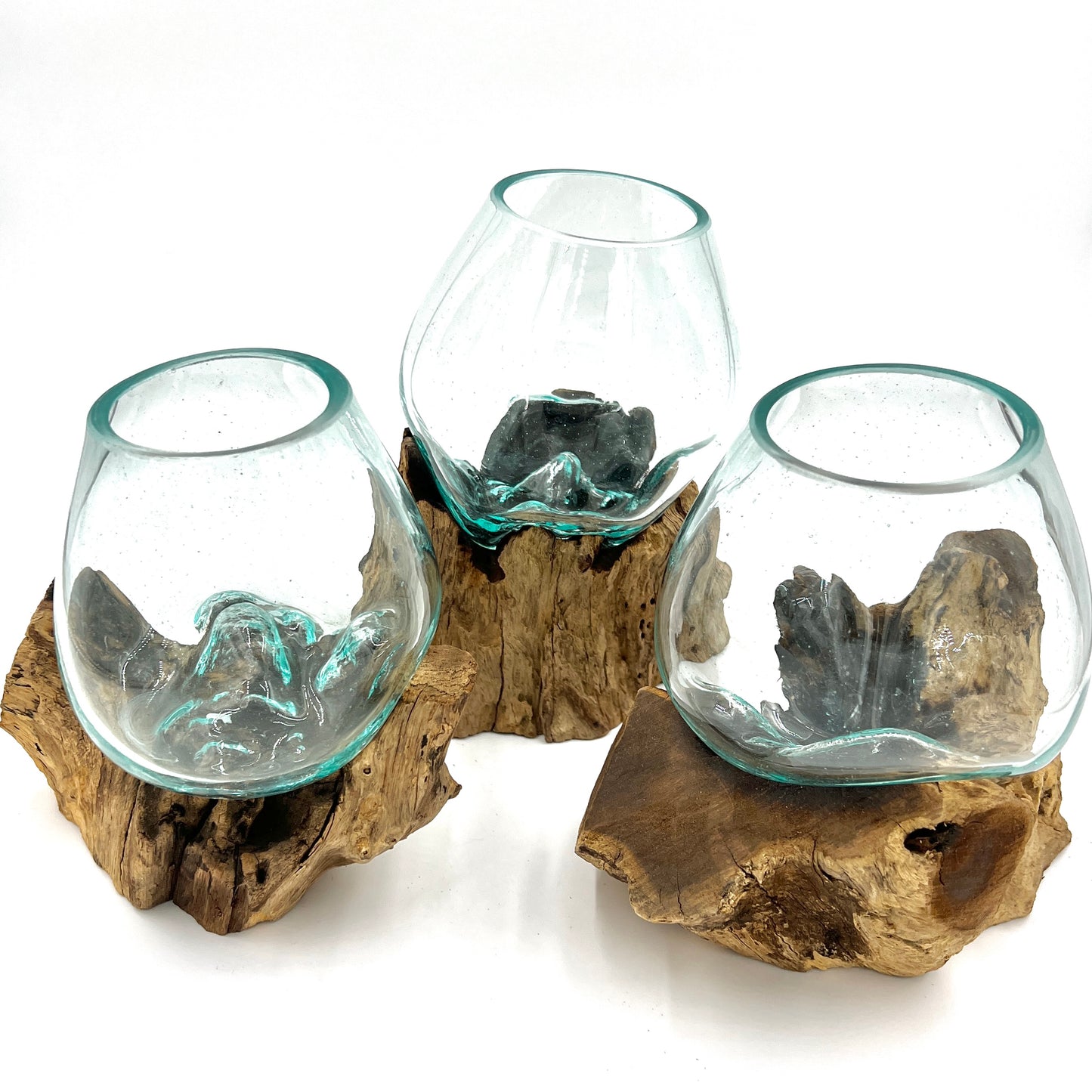 Glass and Driftwood Terrarium