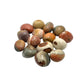 Polychrome Jasper Palmstones