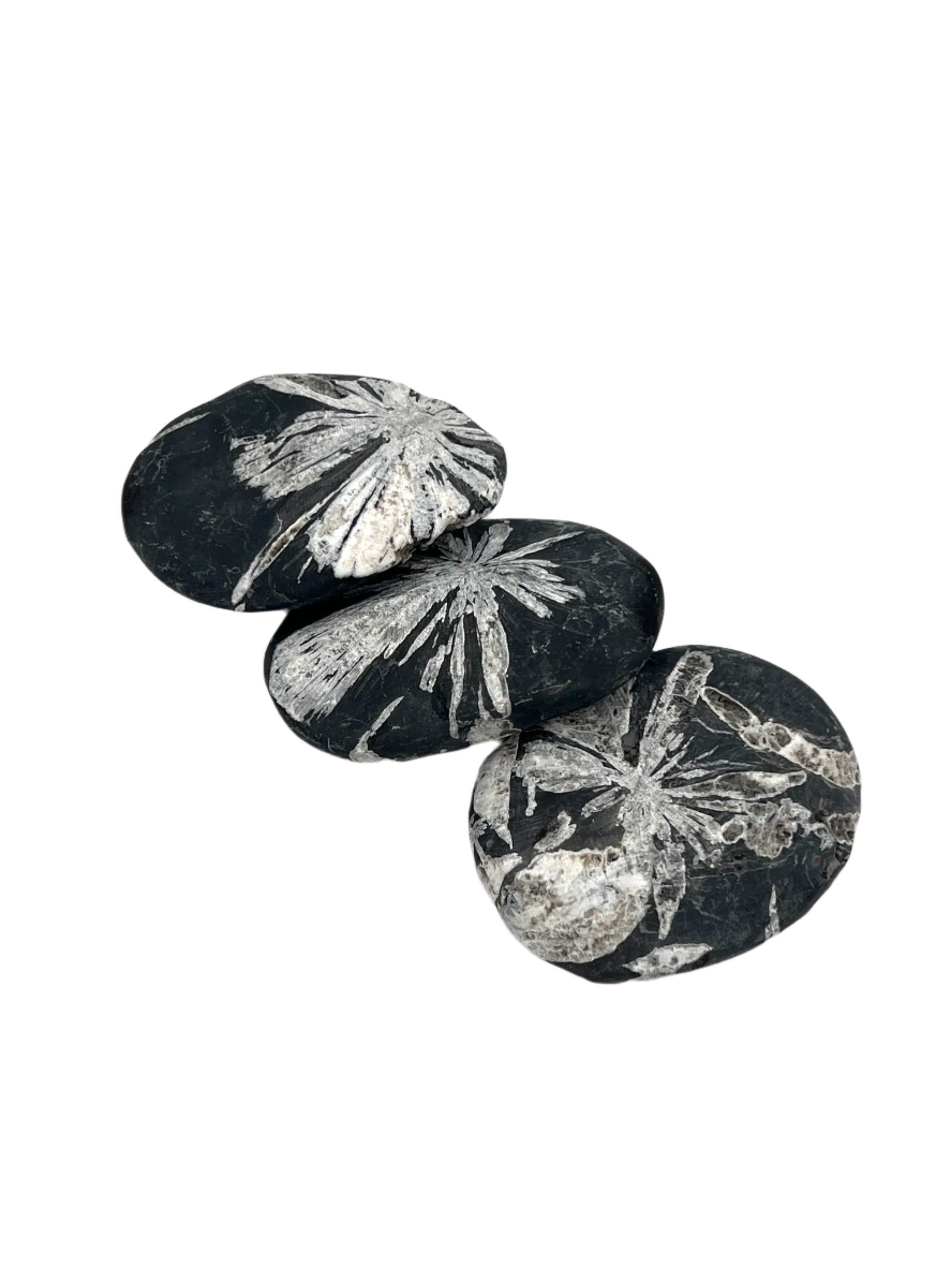 Three black stones with white floral patterns on a white background