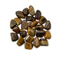 Tigers Eye Tumbles