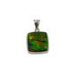 Ammolite Freeform Pendants