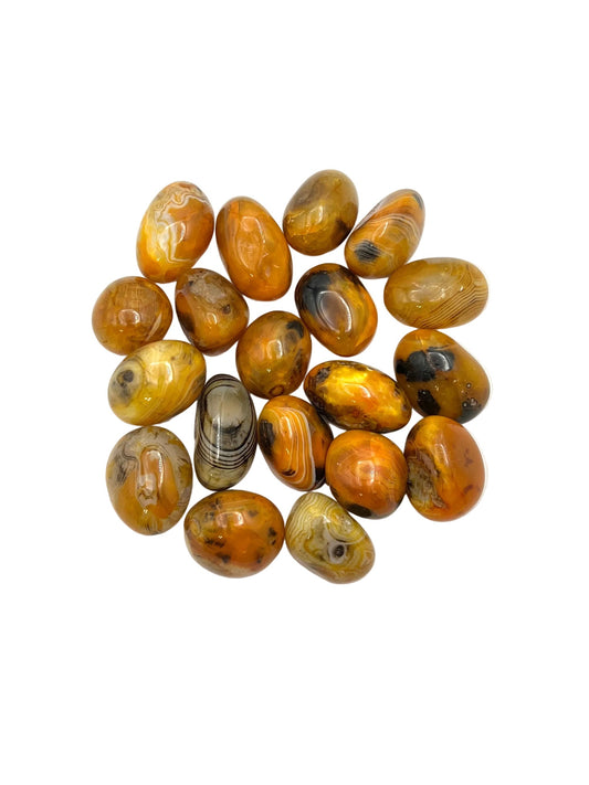 Bumblebee Agate Tumbles