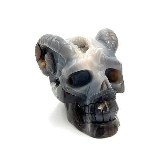 Agate Druzy Skull with Horns