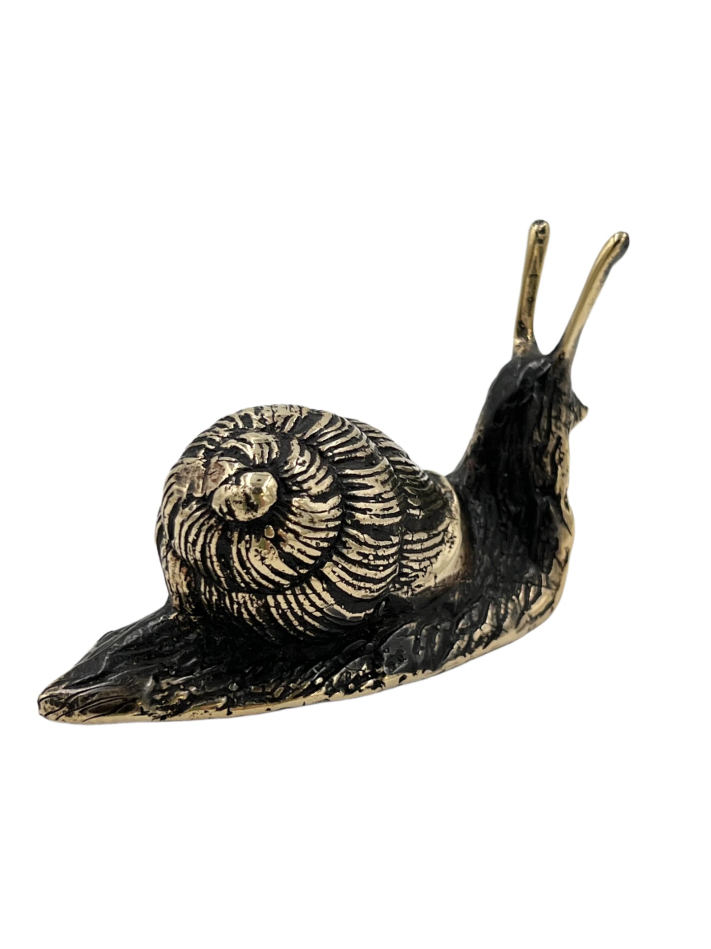 Bronze Snail