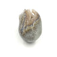 Druzy Agate Skull