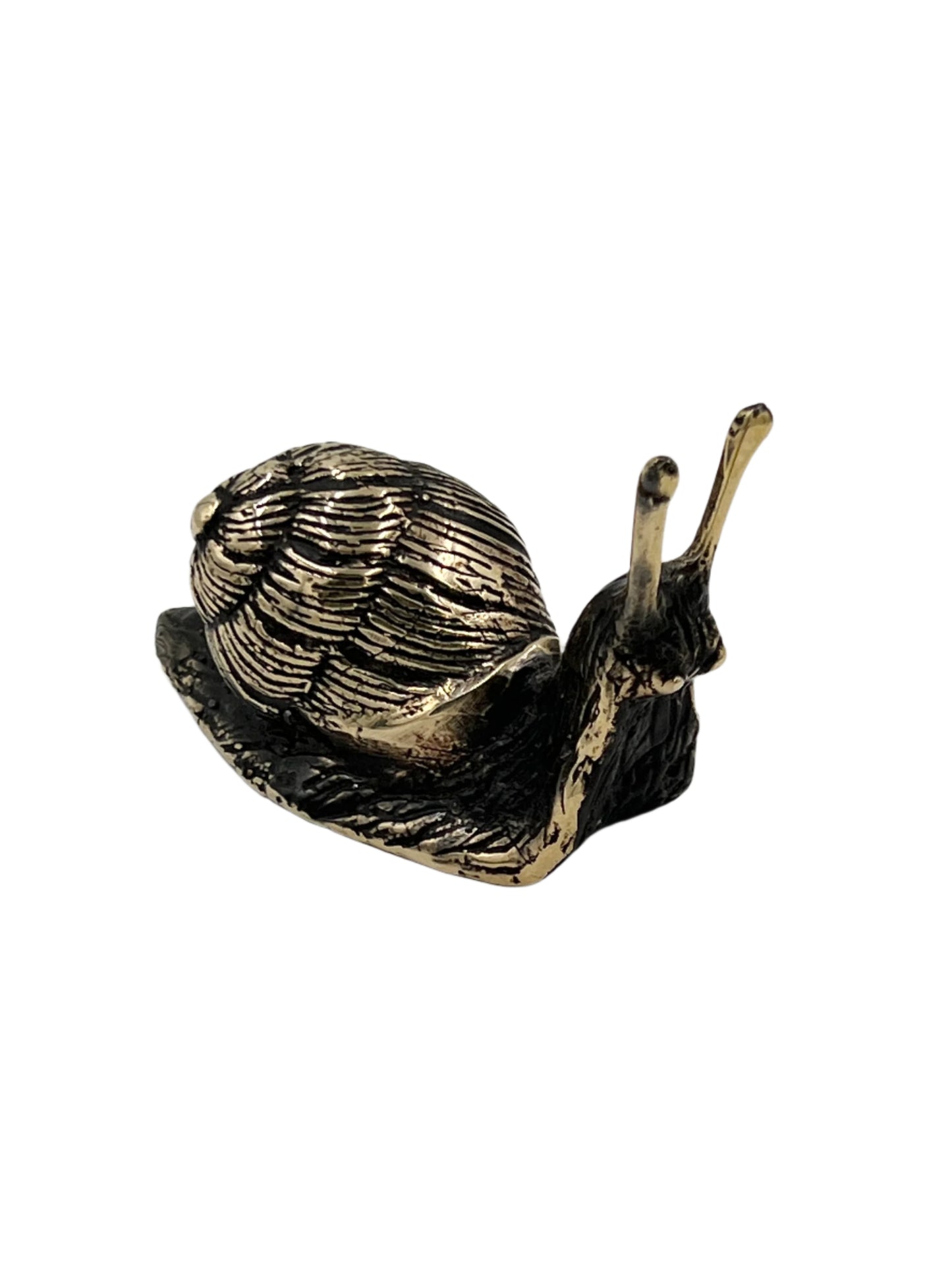 Bronze Snail