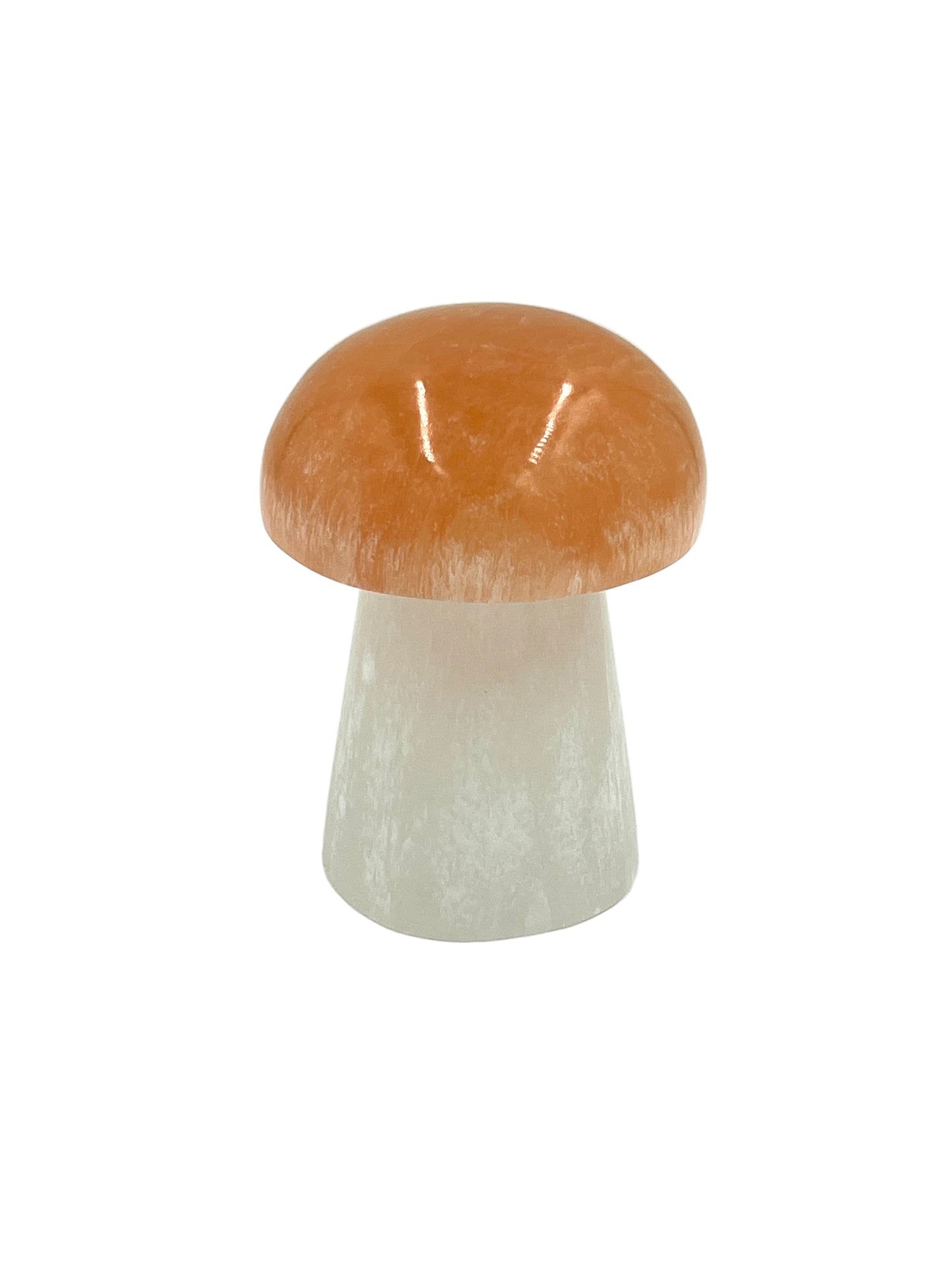 Selenite Mushroom Lamps
