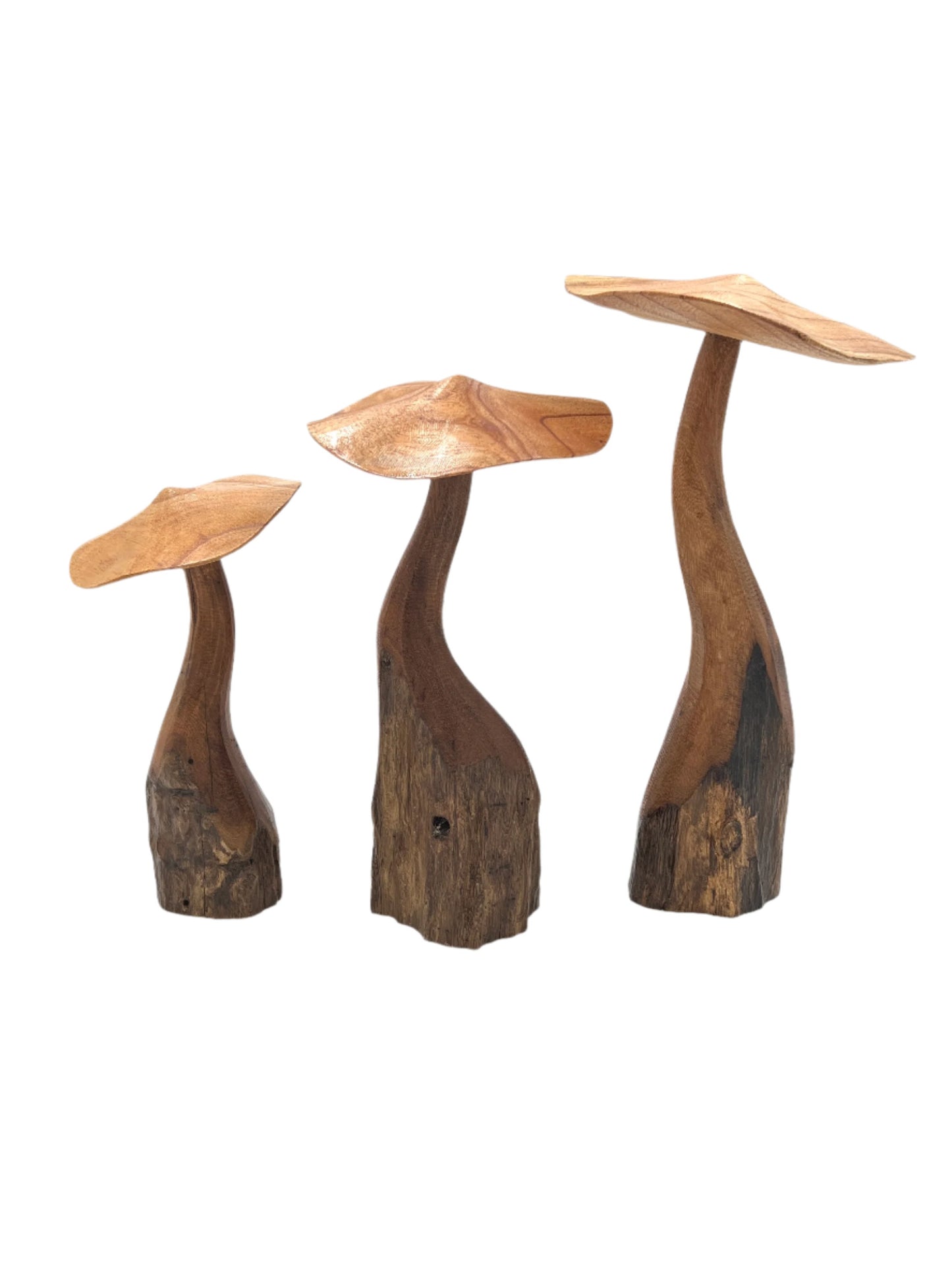 Mushroom Parasite Wood Carvings