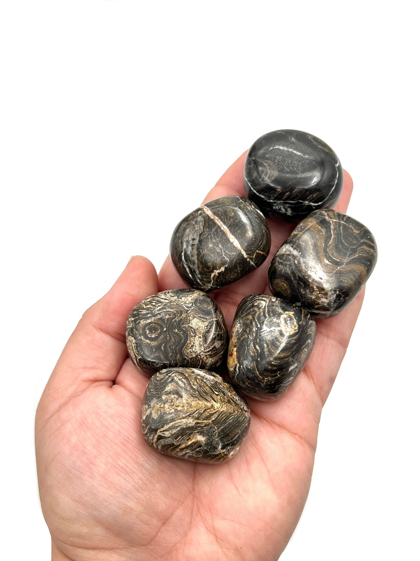 Stromatolite Tumbles