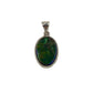 Ammolite Freeform Pendants