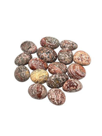 Leopard Skin Jasper Tumbled Nuggets